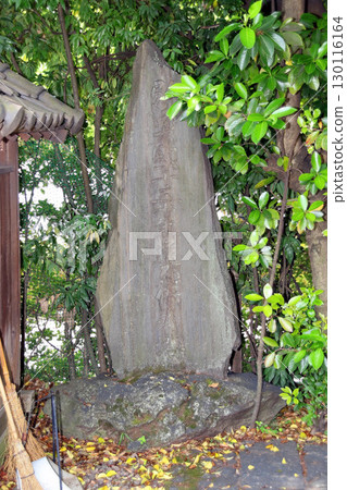 Saizoin Temple (Taitō) Saizoin Temple (Taitō) 130116164
