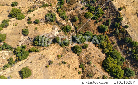 Dry grass on a rocky hill with a path leading toward a distant mountain in the rural Spanish countryside 130116297