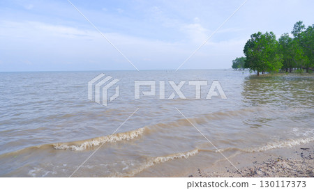 Calm tropical beach with mangrove trees on the shore 130117373