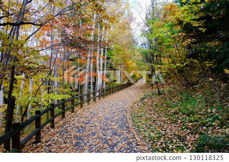 札幌的秋天,旭山紀念公園的紅葉 札幌的秋天,旭山紀念公園的紅葉 130118325