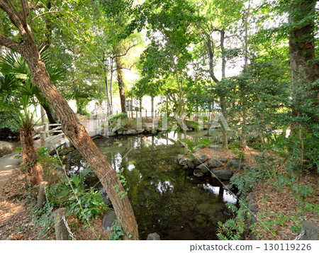 Ninomiya Shrine Pond, Tokyo Ninomiya Shrine Pond, Tokyo 130119226
