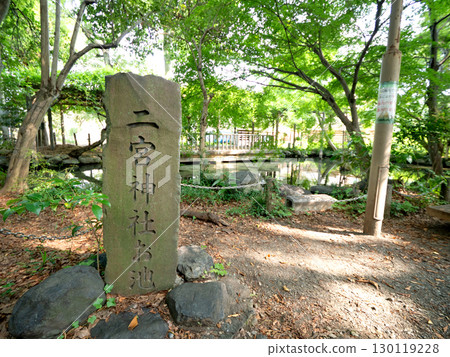 Ninomiya Shrine Pond, Tokyo 130119228
