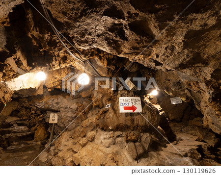 東京大竹洞 東京大竹洞 130119626