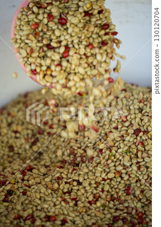 Smart farming techniques machinery roast apparatus coffee bean dry sunlight tool sunbeam sunray sunshine fresh garden produce agriculture promotes farmer concept close up plant farm blur background Smart farming techniques machinery roast apparatus coffee bean dry sunlight tool sunbeam sunray sunshine fresh garden produce agriculture promotes farmer concept close up plant farm blur background 130120704