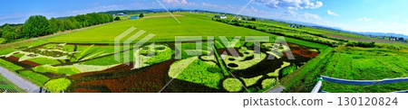 JA Taisetsu Rice Field Art Scenery 130120824