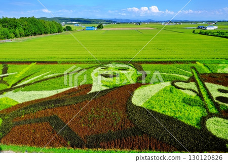 JA大雪稻田藝術風景 130120826