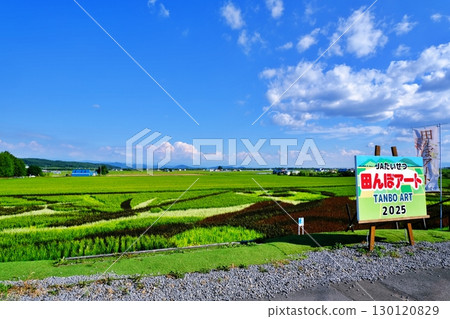 JA大雪稻田藝術風景 130120829