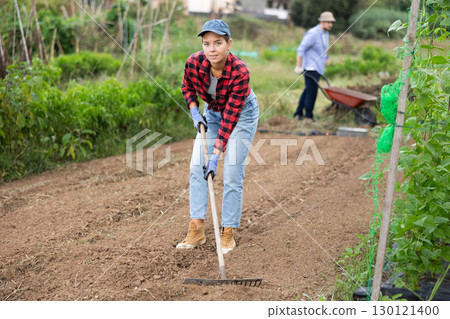 Girl working in garden, raking soil on patch while preparing for planting seedlings Girl working in garden, raking soil on patch while preparing for planting seedlings 130121400