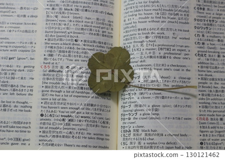 五葉三葉草 130121462