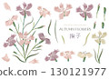 Watercolor illustration set of dianthus 130121977