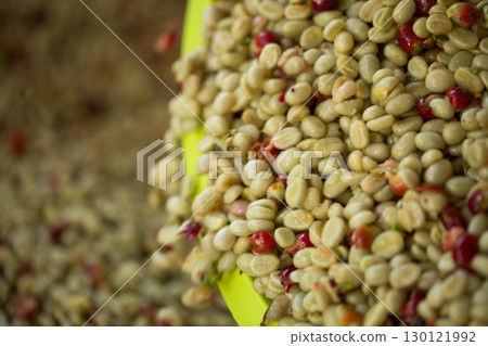 Smart farming techniques machinery roast apparatus coffee bean dry sunlight tool sunbeam sunray sunshine fresh garden produce agriculture promotes farmer concept close up plant farm blur background 130121992