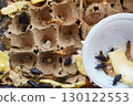 Zophobas morio larvae digesting plastic waste in eco habitat 130122553