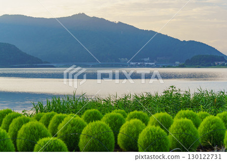 [Yamanashi Prefecture] Lake Kawaguchi, Kawaguchiko Bridge, and Oishi Park (Fujikawaguchiko Town) 130122731
