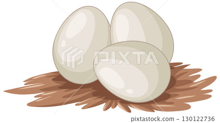 Three Platypus Eggs Resting in a Nest Illustration 130122736