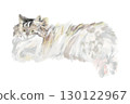 Hand-drawn illustration of a Norwegian Forest Cat 130122967