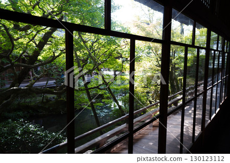 A Japanese garden seen through a glass shoji screen A Japanese garden seen through a glass shoji screen 130123112