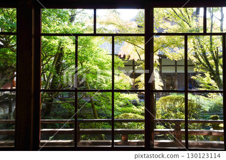 A Japanese garden seen through a glass shoji screen A Japanese garden seen through a glass shoji screen 130123114
