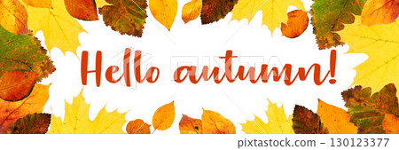 Fall banner Colorful autumn leaves framing cheerful greeting Hello Autumn on white background Fall banner Colorful autumn leaves framing cheerful greeting Hello Autumn on white background 130123377