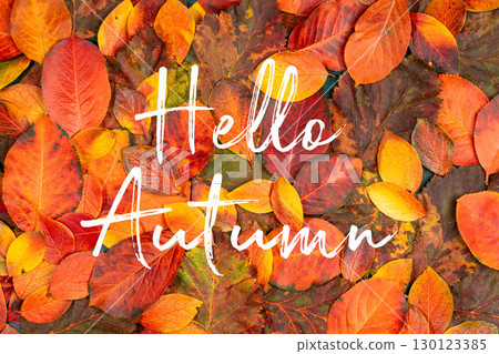 Greeting Hello autumn on colorful autumn leaves background in shades of orange, red, and yellow Greeting Hello autumn on colorful autumn leaves background in shades of orange, red, and yellow 130123385