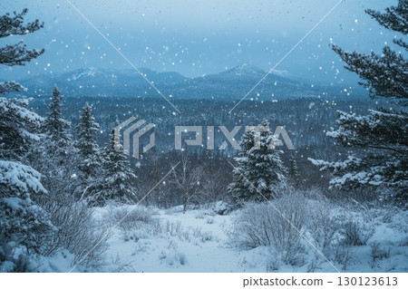 Snowy Winter Landscape in Mountainous Region 130123613