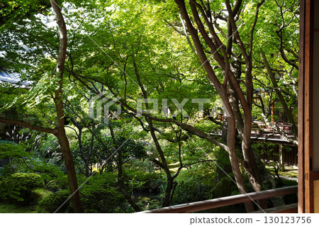 Kyoto temple garden scenery 130123756
