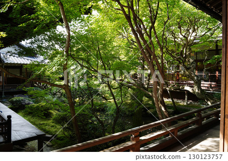 Kyoto temple garden scenery 130123757