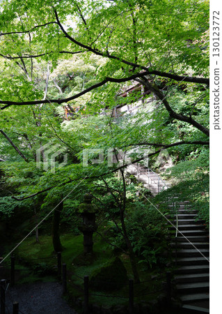 Kyoto temple garden scenery 130123772
