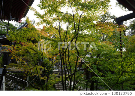Kyoto temple garden scenery 130123790