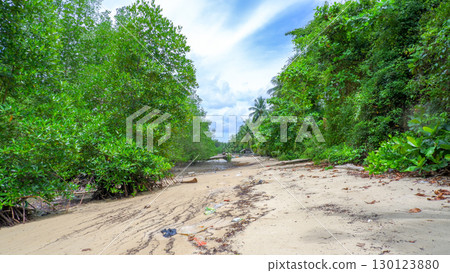 Lush Mangrove Forest on Belo Beach at High Tide 130123880