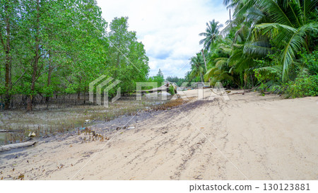 Lush Mangrove Forest on Belo Beach at High Tide Lush Mangrove Forest on Belo Beach at High Tide 130123881