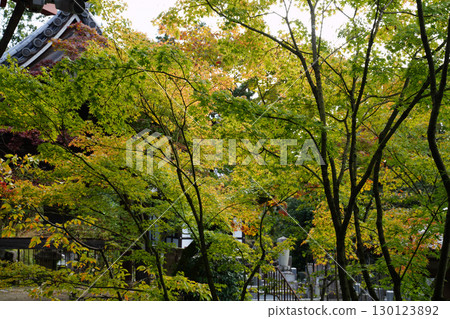 京都寺廟庭園風景 130123892