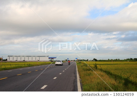 rice fields in vietnam 130124059