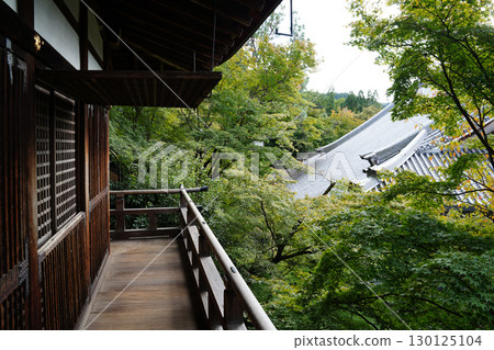 京都寺廟內的風景 京都寺廟內的風景 130125104