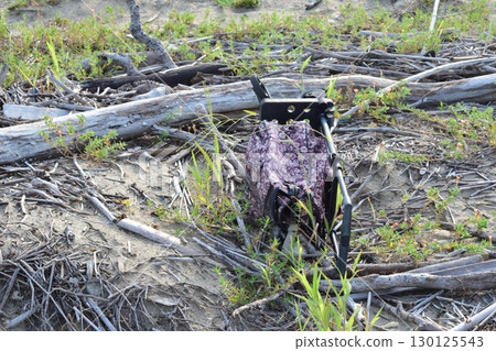 Abandoned Silver Car 130125543