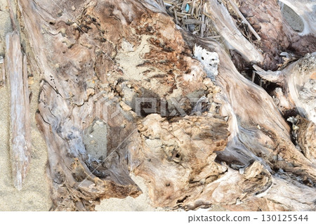 Rough driftwood 130125544
