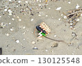 Abandoned Spirit Horse - Sandy Beach 130125548