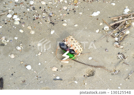 Abandoned Spirit Horse - Sandy Beach 130125548