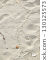 Small seabird footprints on the sandy beach 130125573