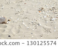 Large seabird footprints 130125574