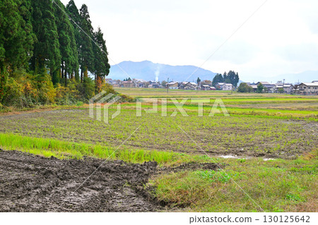 南魚沼市魚沼村的深秋景色 130125642