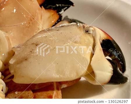 Florida Stone Crab, USA Florida Stone Crab, USA 130126297