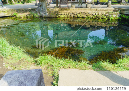 [Yamanashi Prefecture] Oshino Hakkai and Yuike 130126359