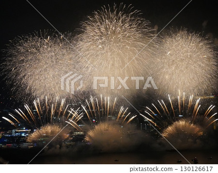 Fireworks dancing in the night sky Fireworks dancing in the night sky 130126617