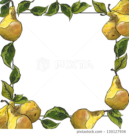 Black line and frame of yellow pears and green leaves. Hand drawn illustration with watercolor and ink. Fruit, pear, plant, juice, yellow, leaves, green, frame, square, juicy, summer 130127936