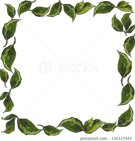 Square frame of green leaves. Hand drawn illustration, watercolor and ink. Plant, leaves, green, frame, square, juicy, summer, graphic, ink, watercolor Square frame of green leaves. Hand drawn illustration, watercolor and ink. Plant, leaves, green, frame, square, juicy, summer, graphic, ink, watercolor 130127943