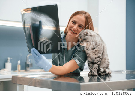 X-ray scan, looking. Scottish fold cat in the veterinarian clinic with female doctor X-ray scan, looking. Scottish fold cat in the veterinarian clinic with female doctor 130128062