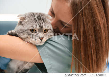 Close up view, embracing an animal. Scottish fold cat in the veterinarian clinic with female doctor 130128066