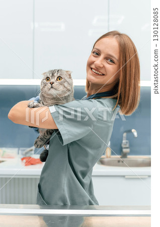 Standing, holding animal and smiling. Scottish fold cat in the veterinarian clinic with female doctor Standing, holding animal and smiling. Scottish fold cat in the veterinarian clinic with female doctor 130128085