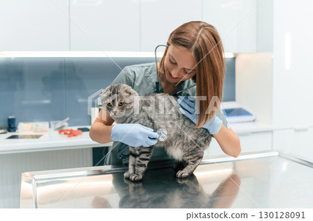 Animal is on the table, using stethoscope. Scottish fold cat in the veterinarian clinic with female doctor 130128091