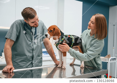 Check up day. Dog in veterinary clinic with two doctors Check up day. Dog in veterinary clinic with two doctors 130128098